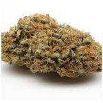 Шишки AK47 (Гидропоника, Бошка) VHQ в Шарыпово Шишки AK47 (Гидропоника, Бошка) VHQ в Шарыпово